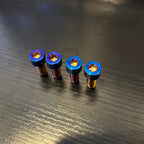 Surron Ultra Bee Direct Mount Bolts (Set of 4)