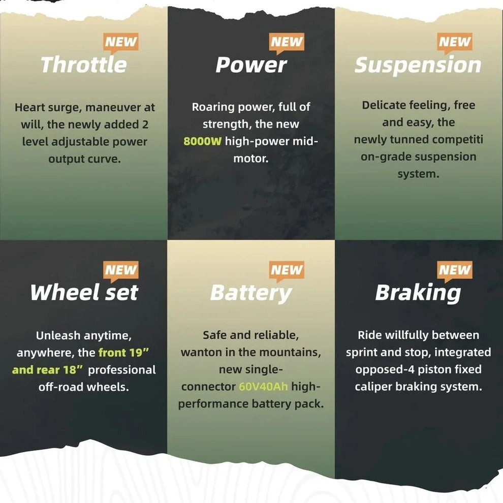 2025 Surron Light Bee X