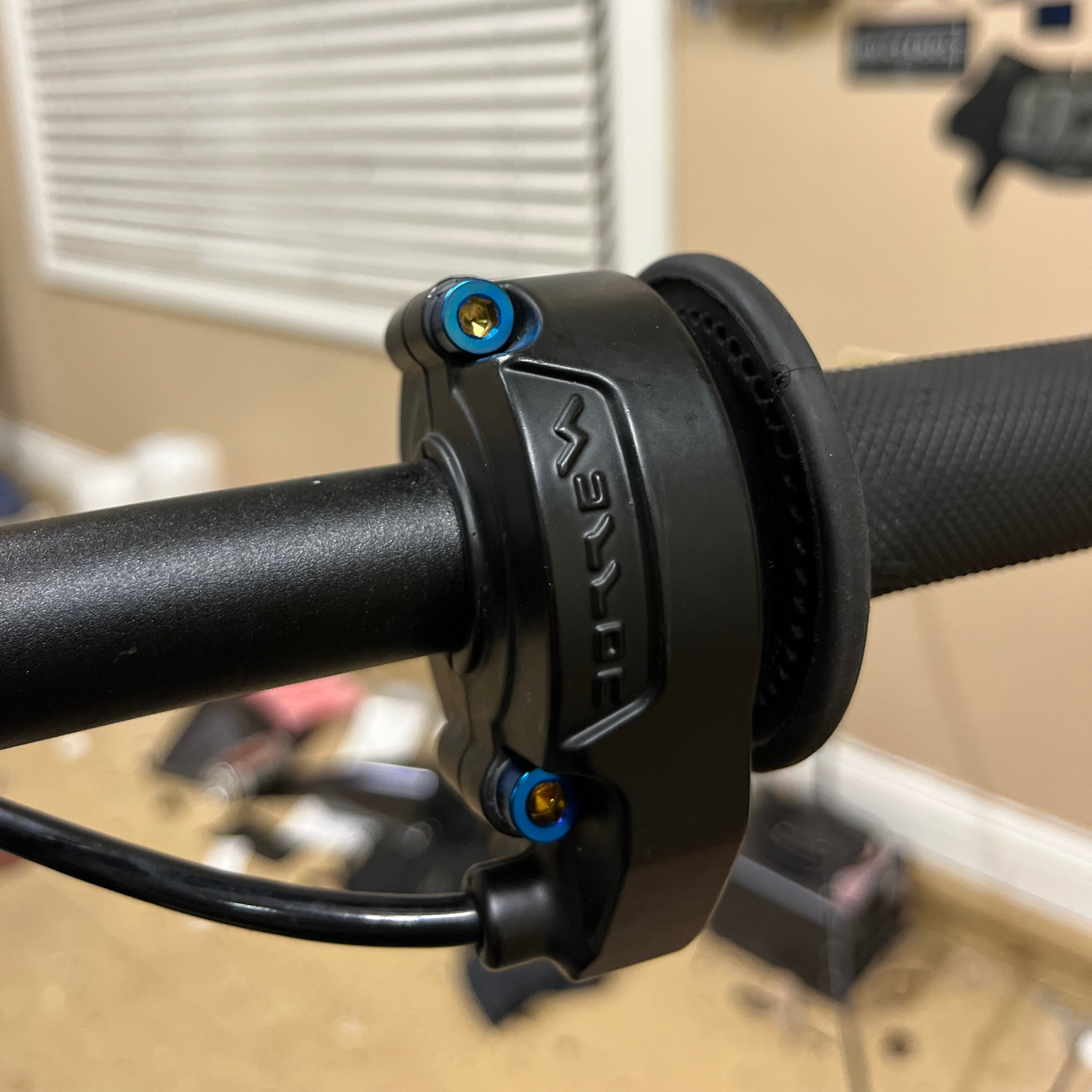 Ultra Bee/LBX Throttle Bolts (Set of 2)