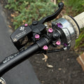 Pink Formula Hand Brake Bolts (Set of 2)