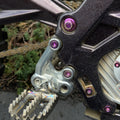 Pink All E-Moto Peg Bracket Bolts (Set of 4)
