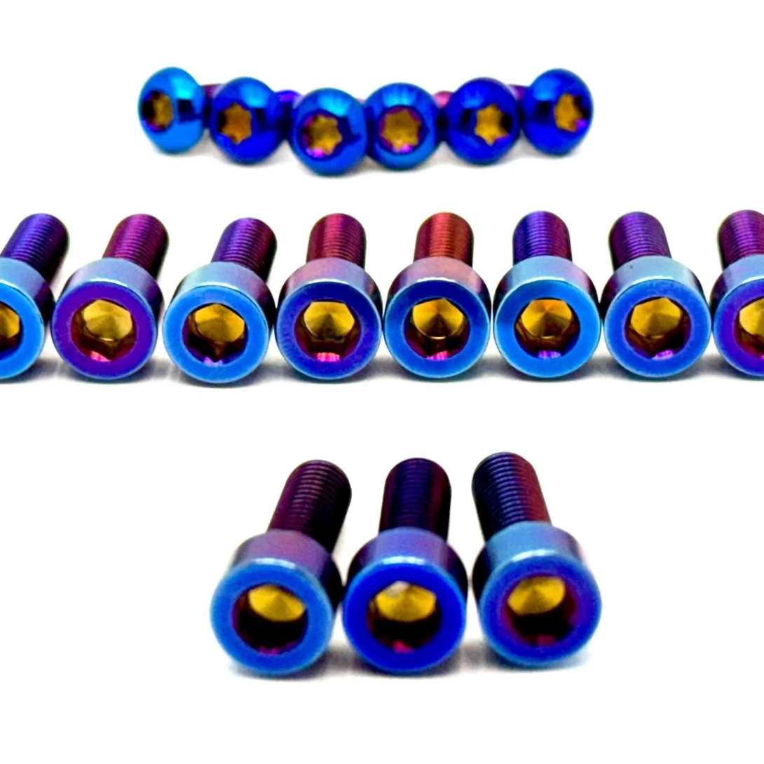 Titanium DNM/ KKE Fork Bolt Kits (Set of 11)