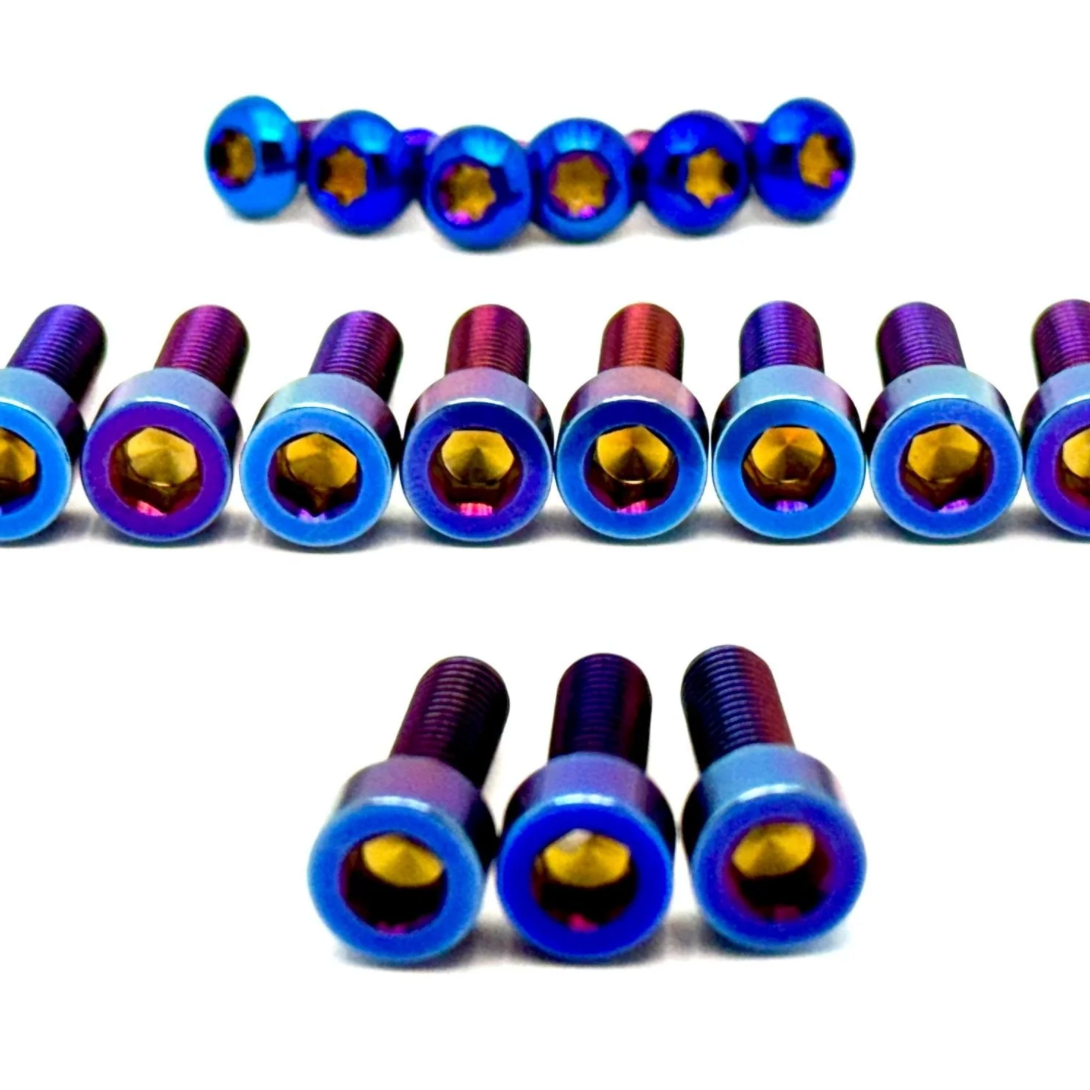 Titanium Bolt Kit for E-Ride Pro SR and Pro SS 3.0 Factory FastAce Fork (ALX32RC)(Set of 17)