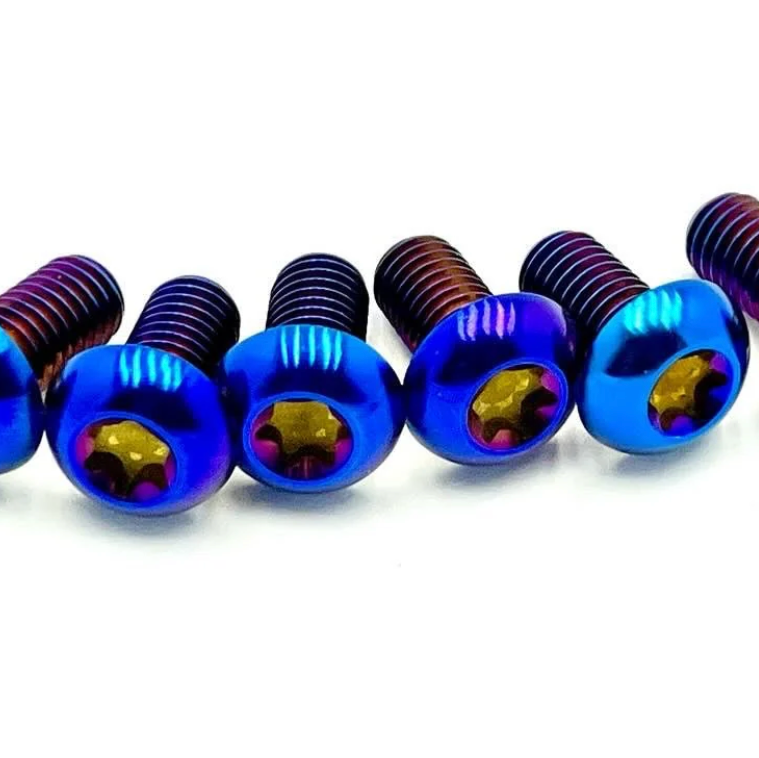 Titanium Bolts for Fork Plastics/Guards (Most Forks) (Set of 6)